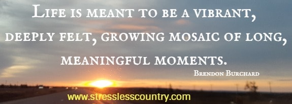 Life is meant to be a vibrant, deeply felt, growing mosaic of long, meaningful moments. Brendon Burchard