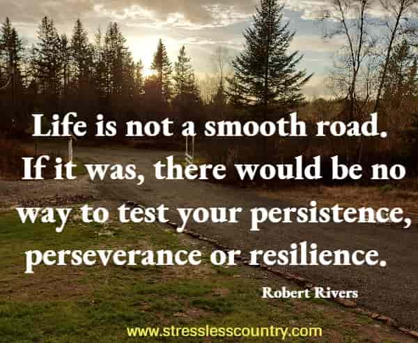 Life is not a smooth road. If it was, there would be no way to test your persistence, perseverance or resilience.