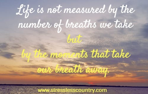 	Life is not measured by the number of breaths we take but by the moments that take our breath away.