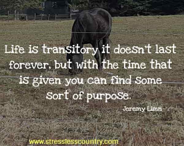 Life is transitory it doesn't last forever, but with the time that is given you can find some sort of purpose.