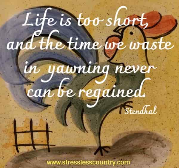 Life is too short, and the time we waste in yawning never can be regained.