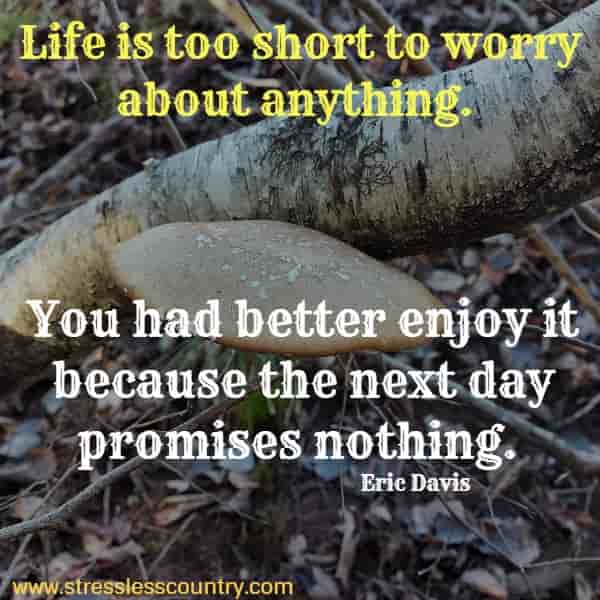 Life is too short to worry about anything. You had better enjoy it because the next day promises nothing.