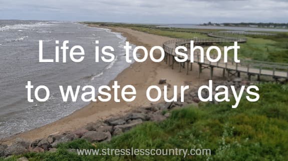 life is to short waste our days