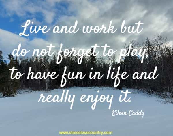 Live and work but do not forget to play, to have fun in life and really enjoy it.