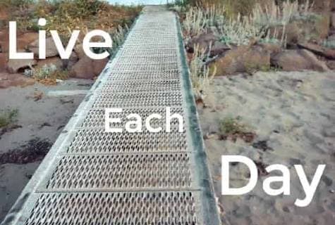 live each day