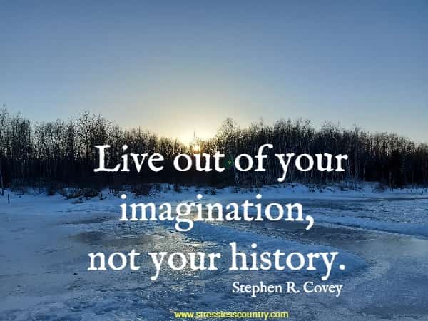 Live out of your imagination, not your history.