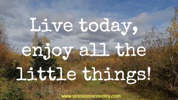Live today, enjoy all the little things!