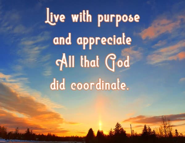Live with purpose and appreciate All that God did coordinate. 