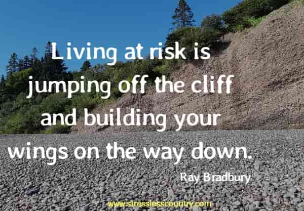 Living at risk is jumping off the cliff and building your wings on the way down