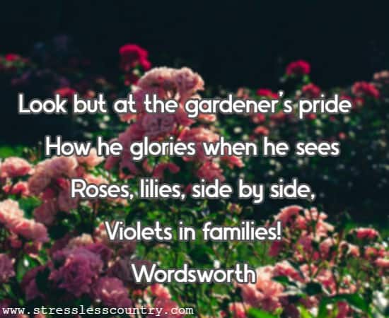 	 Look but at the gardener’s pride— How he glories when he sees Roses, lilies, side by side, Violets in families! Wordsworth 