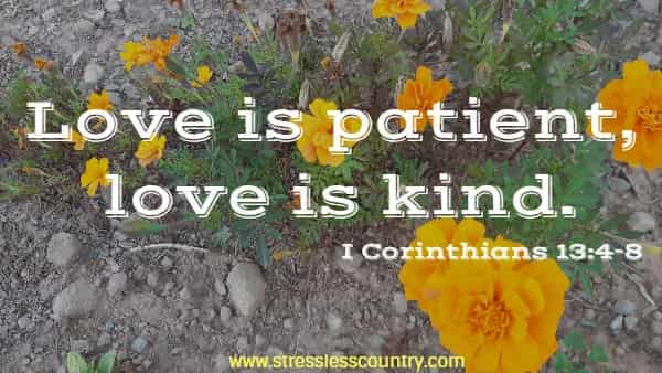 Love is patient, love is kind.