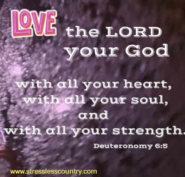 Love the LORD your God with all your heart, with all your soul, and with all your strength.