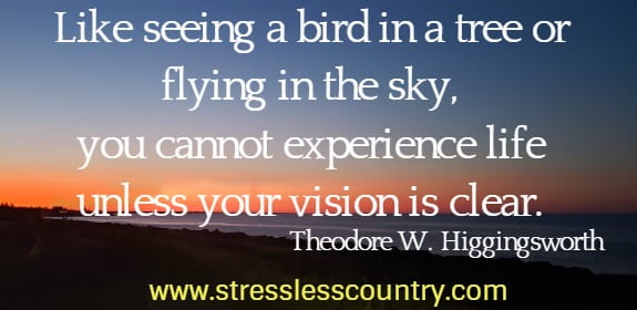 Like seeing a bird in a tree or flying in the sky, you cannot experience life unless your vision is clear.