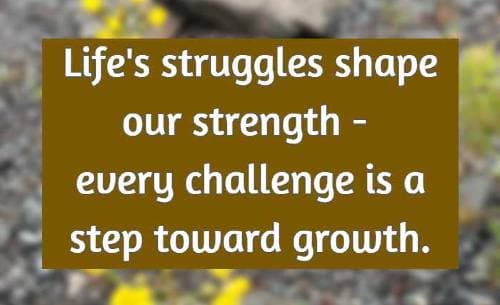 Life's struggles shape our strength—every challenge is a step toward growth