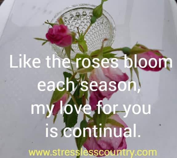 Like the roses bloom each season, my love for you is continual.