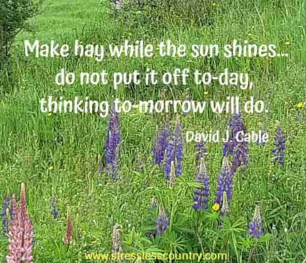 Make hay while the sun shines...do not put it off to-day, thinking to-morrow will do.