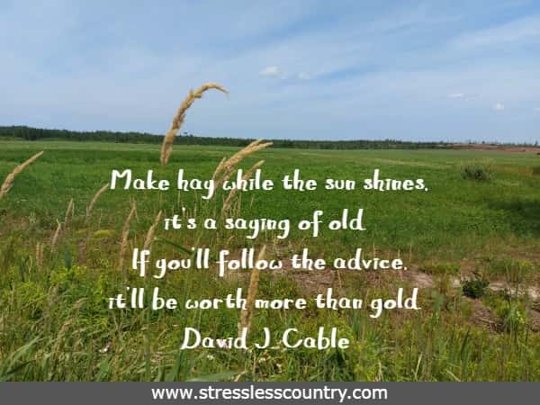Make hay while the sun shines, it's a saying of old. If you'll follow the advice, it'll be worth more than gold.