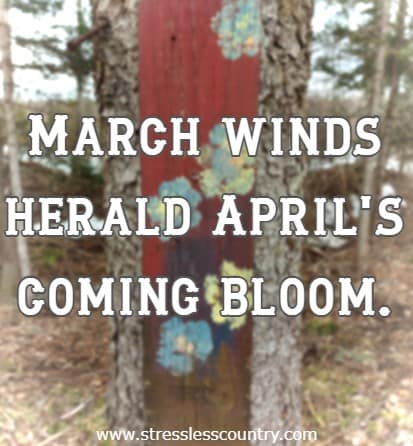 March winds herald April's coming bloom.