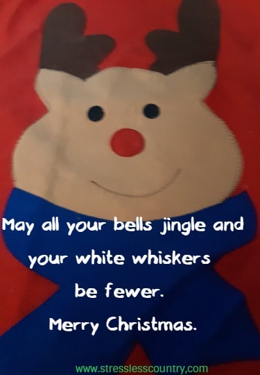 May all your bells jingle and your white whiskers be fewer. Merry Christmas!