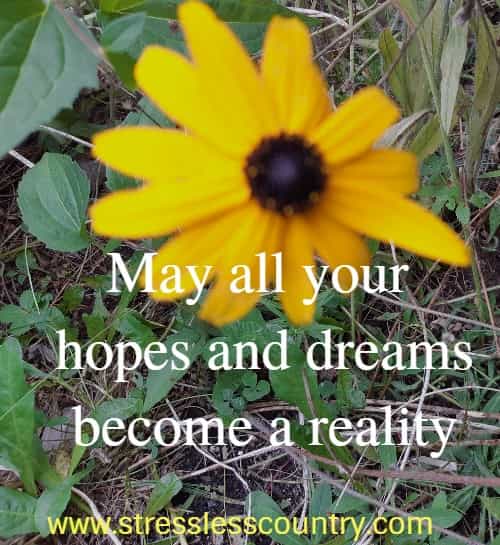 May all your hopes and dreams become a reality