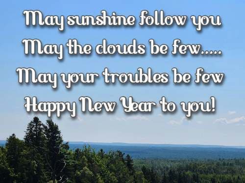 May sunshine follow you May the clouds be few.....May your troubles be few Happy New Year to you!