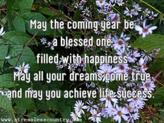May the coming year be a blessed one filled with happiness May all your dreams come true and may you achieve life success.