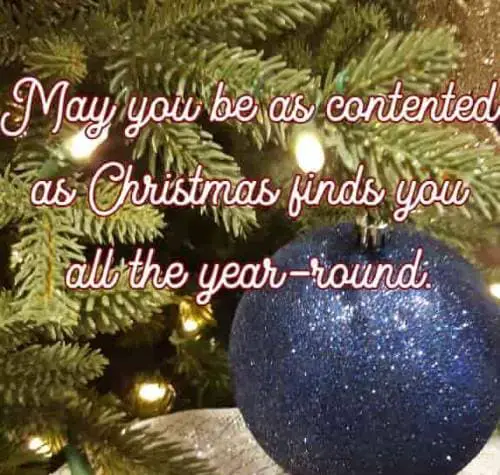 May you be as contented as Christmas finds you all the year-round.