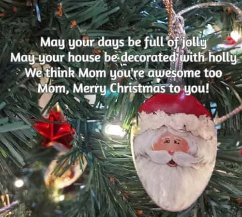 May your days be full of jolly May your house be decorated with holly We think Mom you're awesome too Merry Christmas to you!