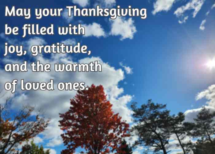 may your Thanksgiving be filled with joy, gratitude, and the warmth of loved ones