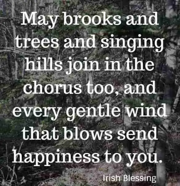 May brooks and trees and singing hills join in the chorus too, and every gentle wind that blows send happiness to you. Irish Blessing