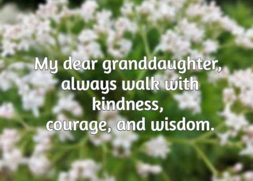 My dear granddaughter, always walk with kindness, courage, and wisdom.