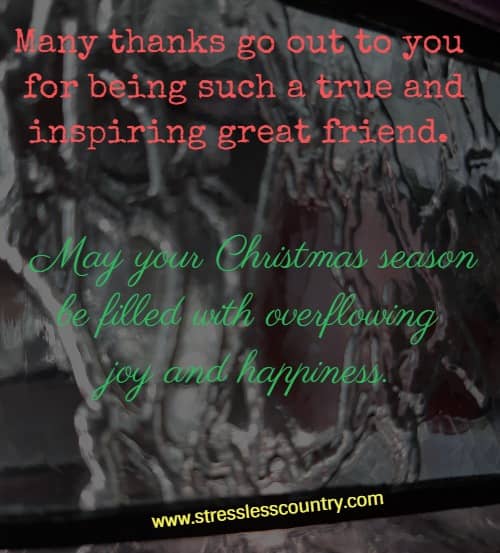 Many thanks go out to you for being such a true and inspiring great friend. May your Christmas season be filled with overflowing joy and happiness. 