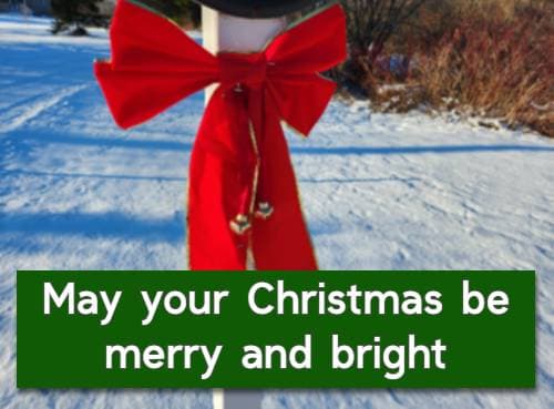 May your Christmas be merry and bright