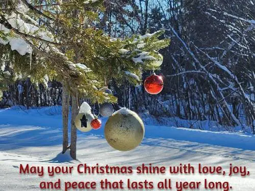 May your Christmas shine with love, joy, and peace that lasts all year long