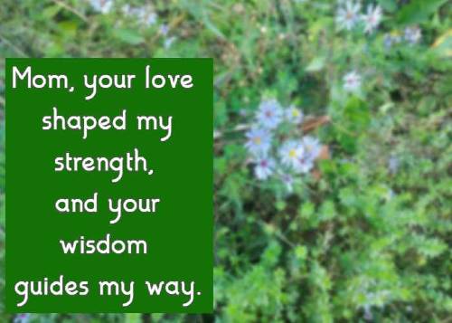 Mom, your love shaped my strength, and your wisdom guides my way