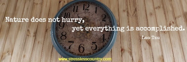 Nature does not hurry, yet everything is accomplished. Lao Tzu