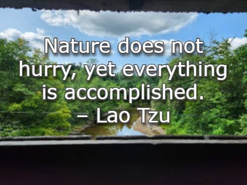 Nature does not hurry, yet everything is accomplished. – Lao Tzu