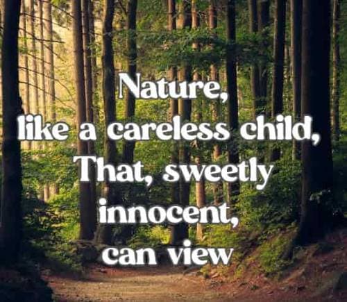 Nature, like a careless child, That, sweetly innocent, can view