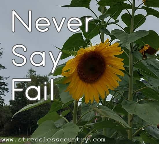 never say fail