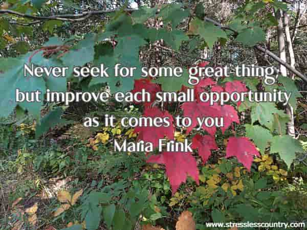 Never seek for some great thing, but improve each small opportunity as it comes to you