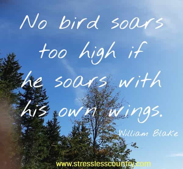 No bird soars too high if he soars with his own wings.