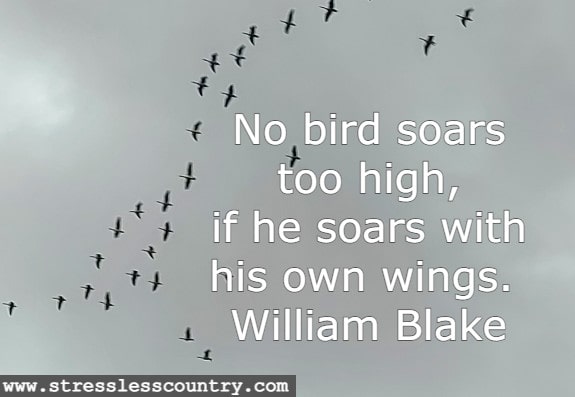 No bird soars too high, if he soars with his own wings.