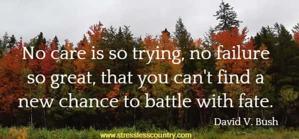 No care is so trying, no failure so great, that you can't find a new chance to battle with fate. David V. Bush 