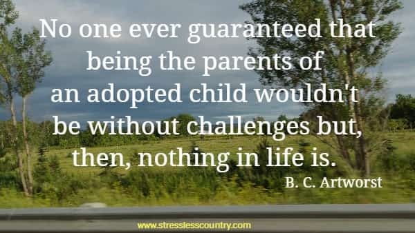 No one ever guaranteed that being the parents of an adopted child wouldn't be without challenges but, then, nothing in life is.