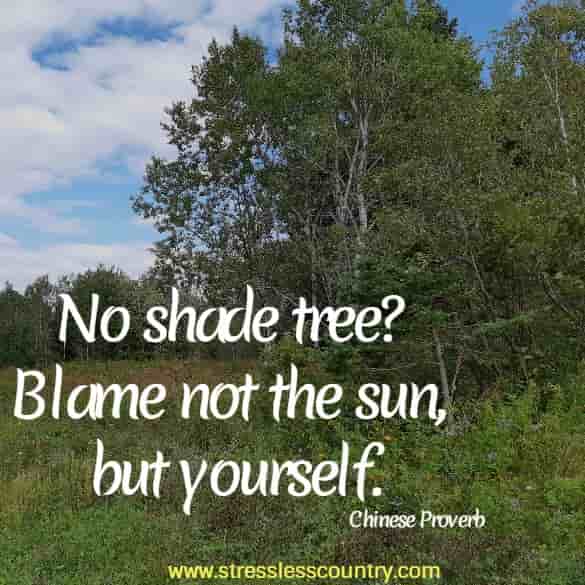No shade tree? Blame not the sun, but yourself.