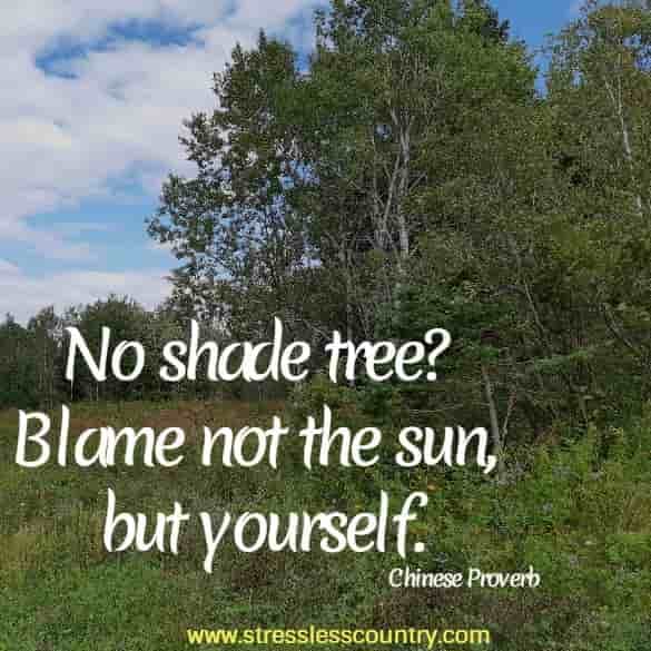 No shade tree? Blame not the sun, but yourself. Chinese Proverb