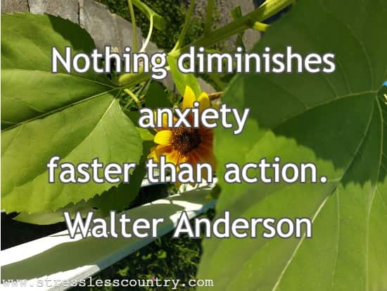 Nothing diminishes anxiety faster than action.