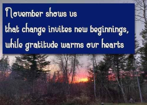 November shows us that change invites new beginnings, while gratitude warms our hearts