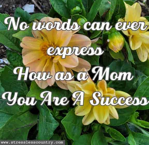 No words can ever express How as a Mom you are a success