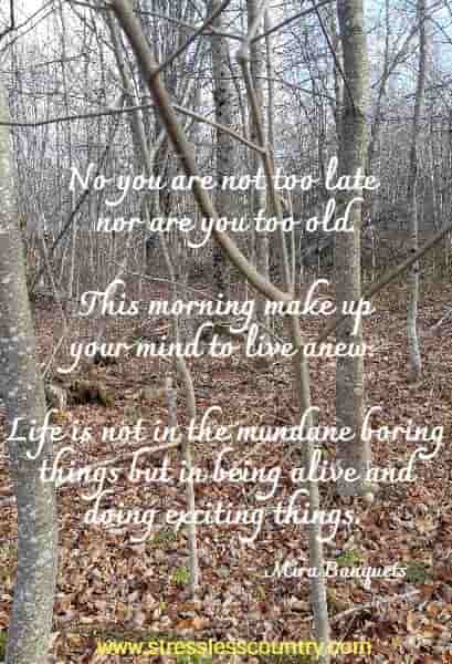 No you are not too late nor are you too old. This morning make up your mind to live anew. Life is not in the mundane boring things but in being alive and doing exciting things. 